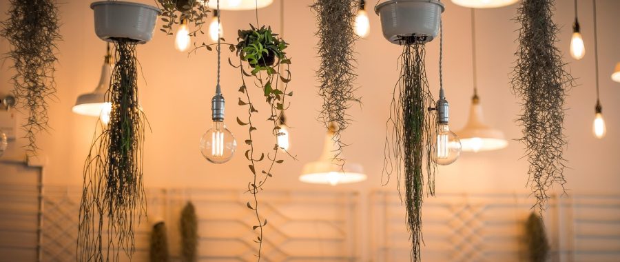 植物大战僵尸网页版屋顶关卡布阵示意，花盆整齐排列在斜面屋顶上，弹弓植物向右侧僵尸发射抛物线攻击，画面充满策略感